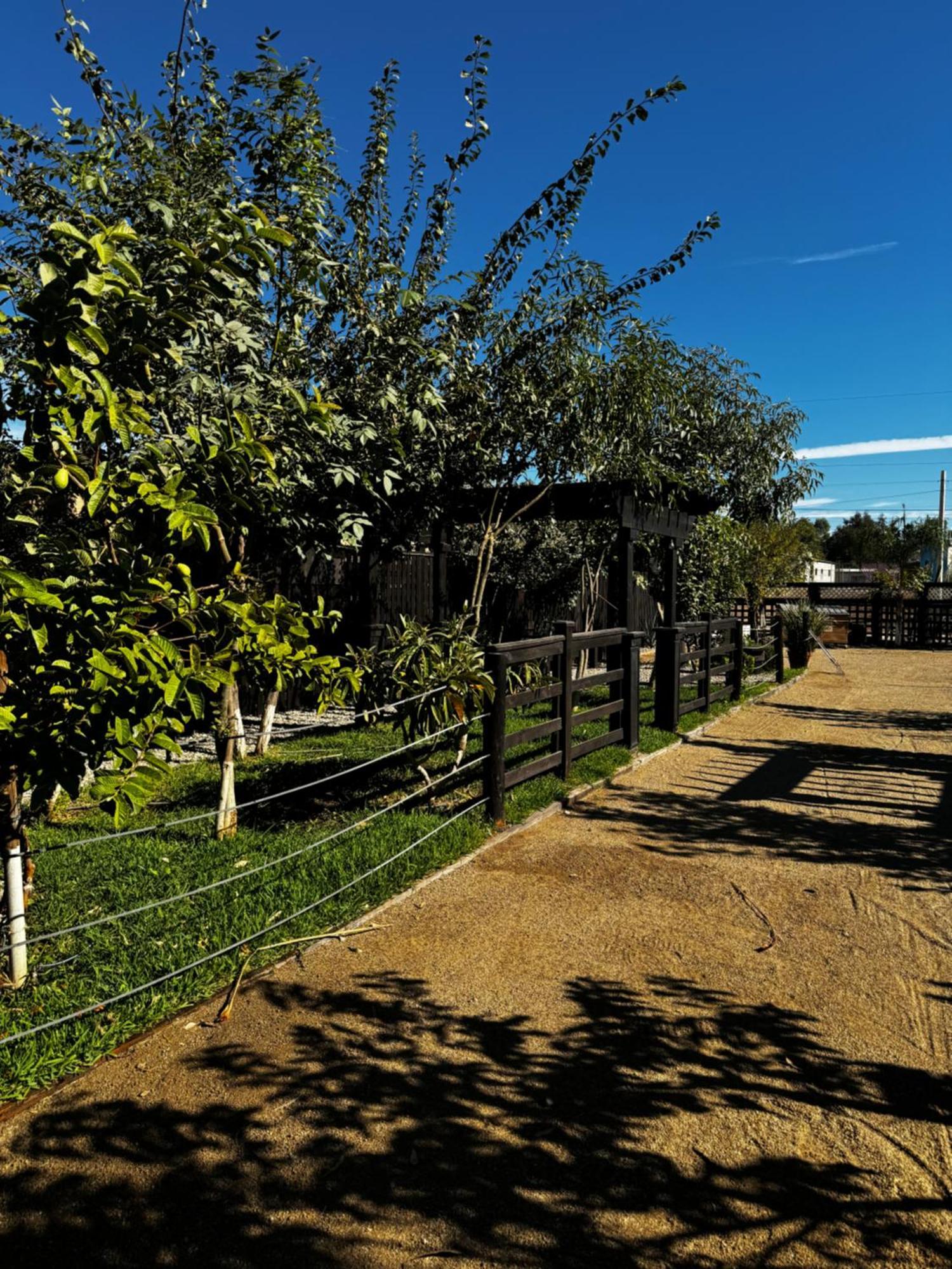 Hotel Estancita Elena Valle de Guadalupe Exterior foto